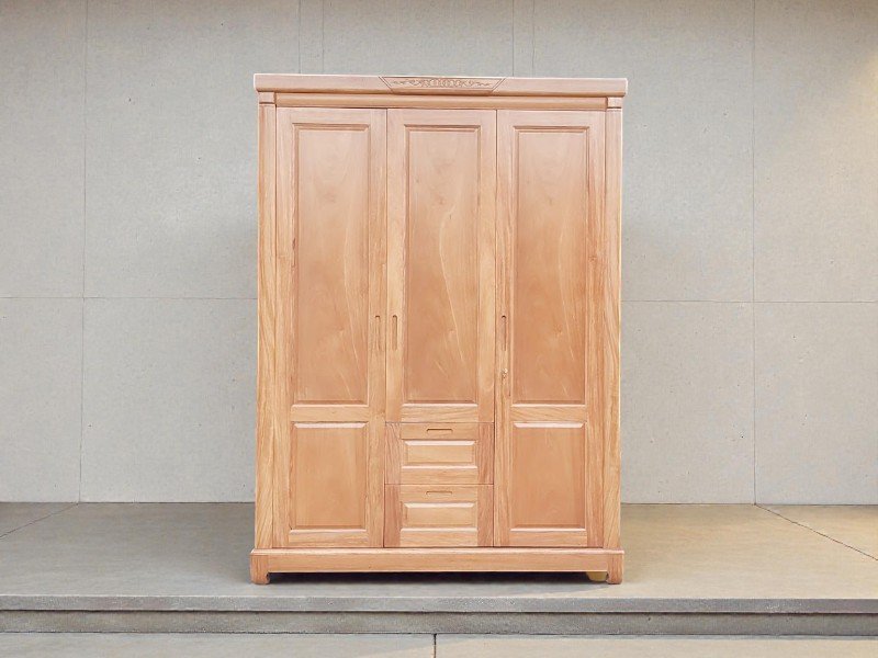 Tủ Quần Áo Tại HCM: Hướng Dẫn Chọn Mua & Top 7 Mẫu Đẹp Giá Tốt 2025 15 Tủ quần áo giá rẻ tphcm