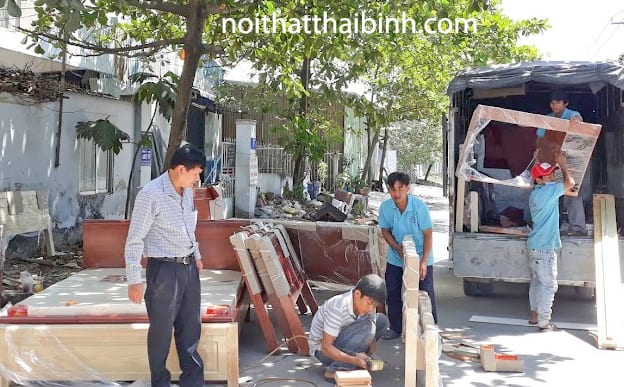 Gỗ sồi là gì?