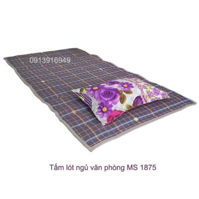 Tấm lót ngủ văn phòng