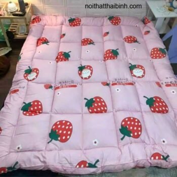 Topper nệm giá rẻ