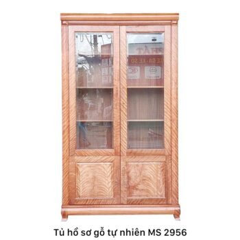 Tủ gỗ đựng tài liệu