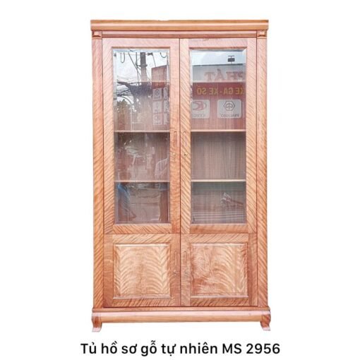 Tủ gỗ đựng tài liệu