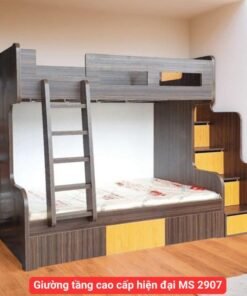 Giường tầng cao cấp hiện đại MS 2907