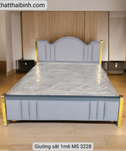 Giường sắt 1m6