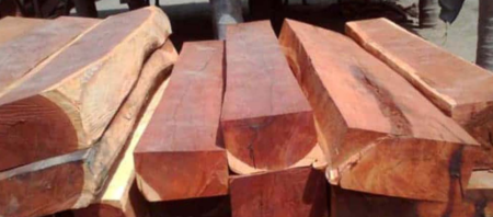 Gỗ Cẩm Lai Là Gì? Đặc Điểm, Phân Loại Và Ứng Dụng 39 Gỗ Cẩm Lai Là Gì? Đặc Điểm, Phân Loại Và Ứng Dụng