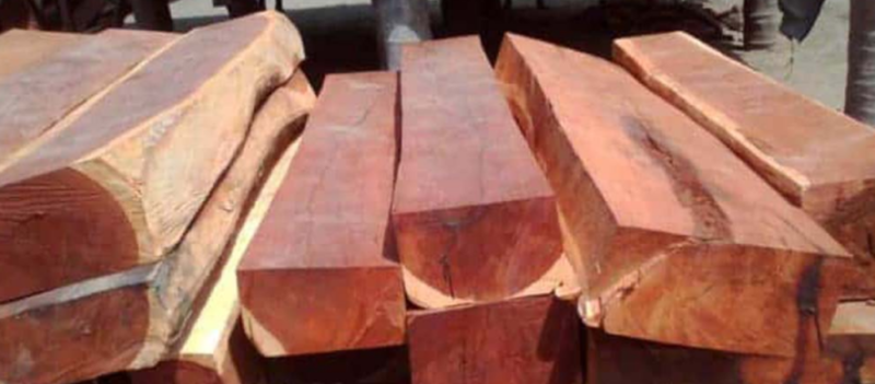 Gỗ Cẩm Lai Là Gì? Đặc Điểm, Phân Loại Và Ứng Dụng