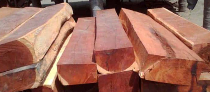 Gỗ Cẩm Lai Là Gì? Đặc Điểm, Phân Loại Và Ứng Dụng Gỗ Cẩm Lai Là Gì? Đặc Điểm, Phân Loại Và Ứng Dụng