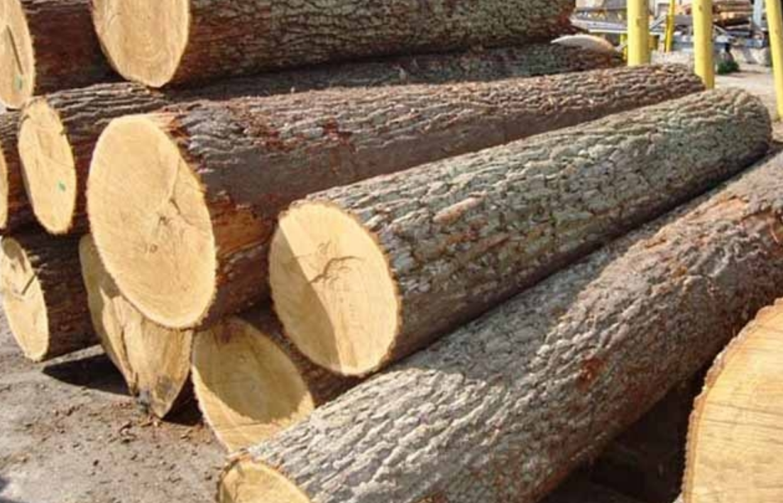 Gỗ Chò Chỉ là gì? 3 Gỗ Chò Chỉ là gì?