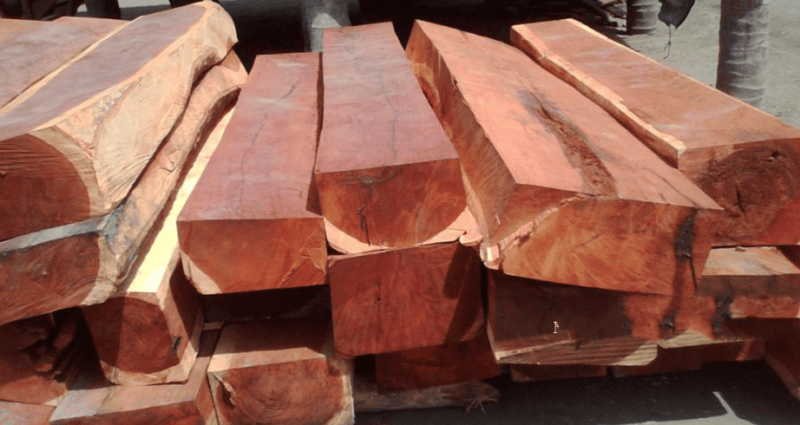 Gỗ Hương Là Gì? Đặc Điểm Và Ứng Dụng