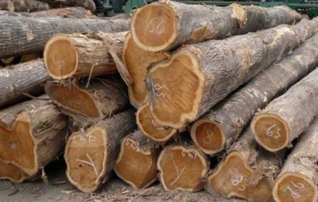 Gỗ Xoan Đào Là Gì? 25 Gỗ Xoan Đào Là Gì?