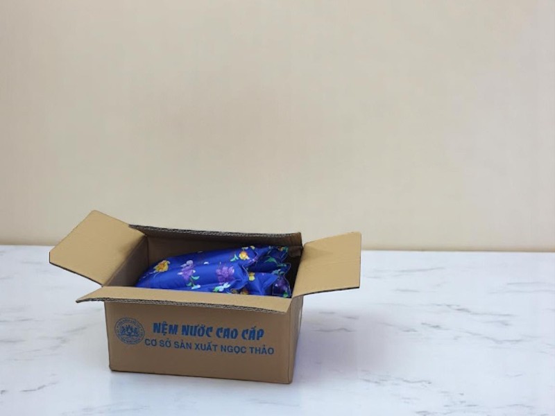 Giá Nệm Nước Cho Người Bệnh Tại TPHCM 8 Giá Nệm Nước Cho Người Bệnh Tại TPHCM