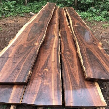 Gỗ Cẩm Nam Phi là gì