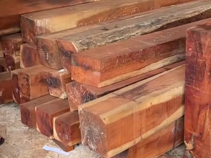 Gỗ Gõ Đỏ – Vẻ Đẹp Sang Trọng Và Giá Trị Bền Lâu 8 Gỗ Gõ Đỏ