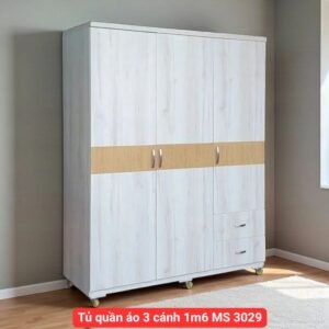 Tủ quần áo 3 cánh 1m6